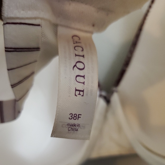 Cacique Bra - Picture 5 of 10